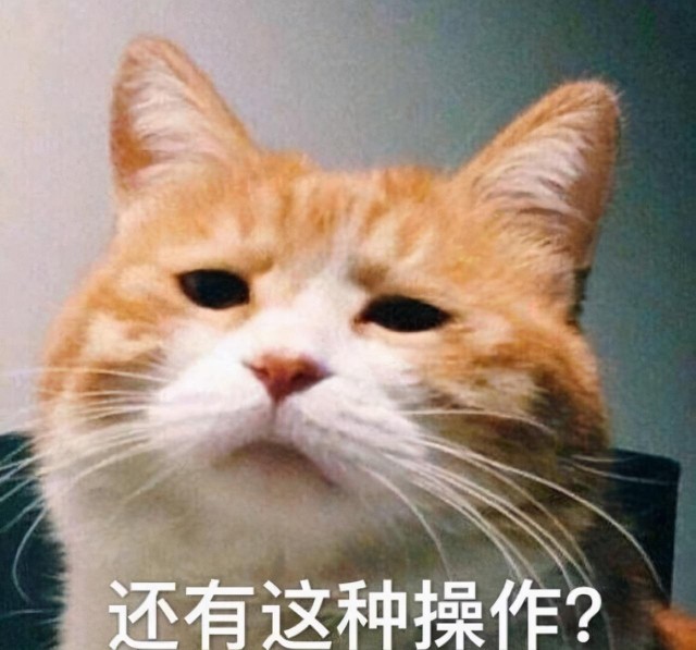 祖先直言不讳地说：猫咪有这六个特点，不要轻易带回家