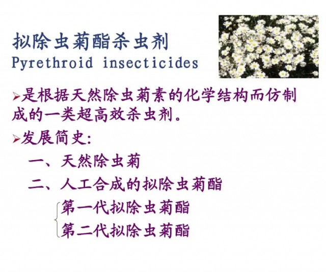 宠物冷知识：家里点蚊香对毛孩子有害吗